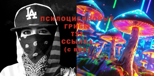 PSILOCYBIN Горно-Алтайск