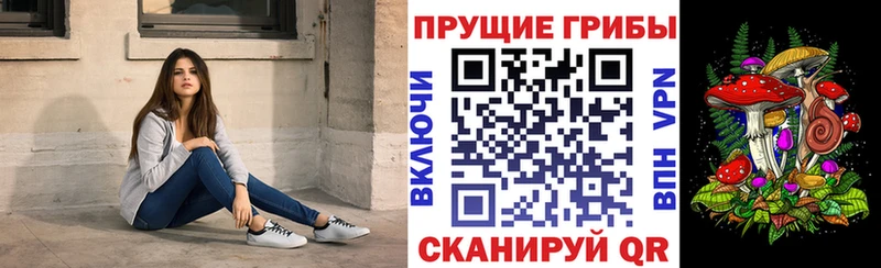 Галлюциногенные грибы мицелий  Олёкминск 